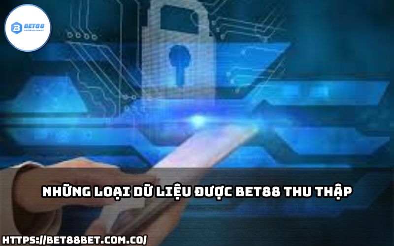 Chính Sách Bảo Mật Bet88: Cam kết minh bạch về các loại dữ liệu được thu thập và sử dụng. Chính Sách Bảo Mật Bet88: Cam kết minh bạch về các loại dữ liệu được thu thập và sử dụng.
