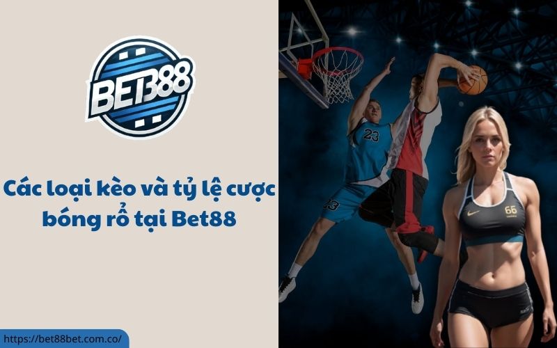 bóng rổ Bet88