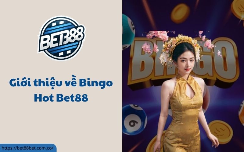 Bingo Hot Bet88
